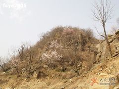 山上风景-北京水岸山吧度假村(雁栖镇店)