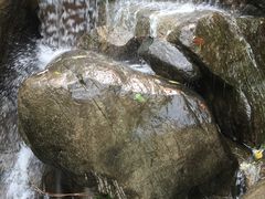 -封龙山风景区