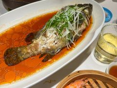 清蒸老虎斑-高佳庄·舟山海鲜(海景旗舰店)