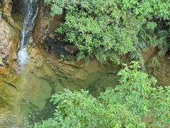 -南海湾森林生态园
