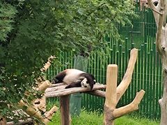 -沈阳森林动物园