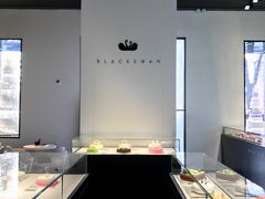 -BLACKSWAN黑天鹅(环球店)