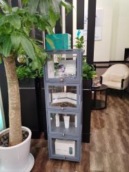 -史云逊养发护发