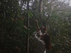 -呀诺达热带雨林