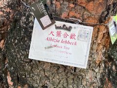 -九龙公园
