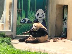 -西安秦岭野生动物园