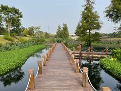 -那考河湿地公园