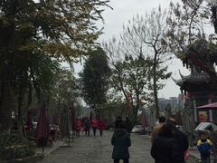 -三道苗苗鱼(三道堰老字号店)