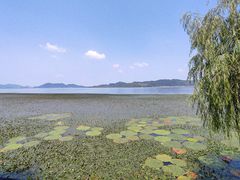 -东钱湖旅游度假区