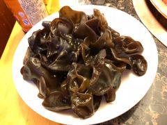 黑木耳-老码头火锅(玉林店)