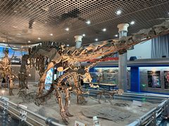 -国家自然博物馆