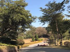 -广州莲花山旅游区