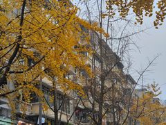 -罗妈砂锅(四川成都奎星楼店)