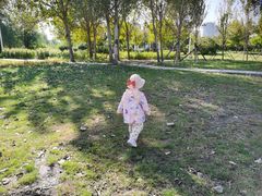 -长春公园(普阳街道)