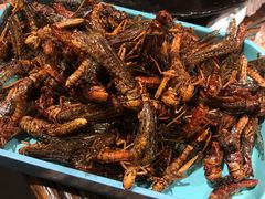 -柿子树炭烤羊腿(金台路店)