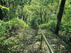 -神光山国家森林公园