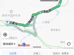 -金塔沙漠胡杨林景区
