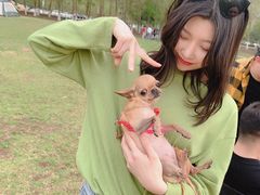 -长白岛森林公园