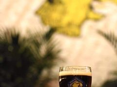 精酿啤酒-岔巴精酿啤酒餐吧(南屏街店)