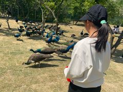 -竹泉村旅游度假区