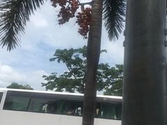 -拉威海鲜市场