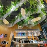 不止咖啡，更是深圳年轻人交流基地[胜利]