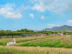 -盈香心动乐园