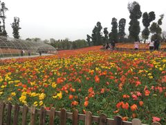-秀丽东方
