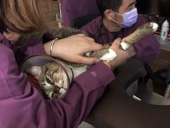 -爱侣宠医·鹦鹉专科·小型哺乳类·异宠专科(灵石路店)