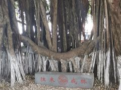 -胡里山炮台