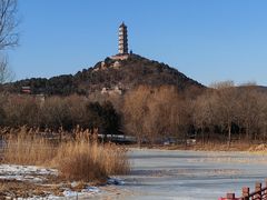 -北坞公园