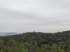 -南山风景名胜区