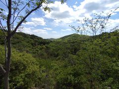 -北京西山国家森林公园