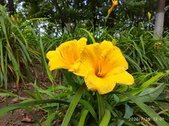 -永定河休闲森林公园