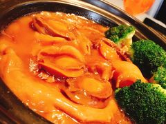 -皇朝会.经典传统粤菜(外滩店)