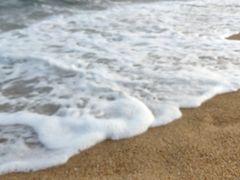 -玫瑰海岸文化旅游度假区