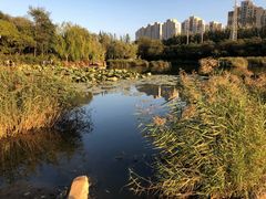 -前关湿地公园