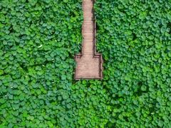 -清漾毛氏文化村