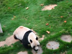 -西霞口神雕山野生动物世界