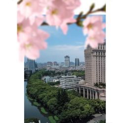 -宁波华侨温德姆至尊豪廷大酒店·宴会厅