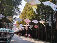 -日照海滨国家森林公园