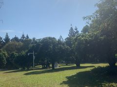 -深圳湾公园(南山区)