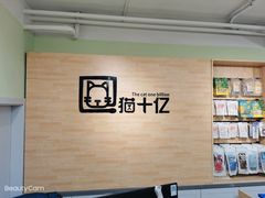 -猫十亿·布偶金渐层·曼基康矮脚猫舍(青年路店)