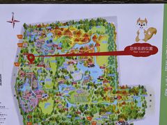 -上海共青森林公园