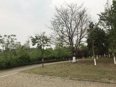 -白鹭湾湿地公园