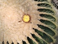 -北京植物园-展览温室