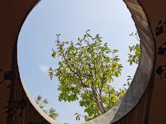 -海珠儿童公园