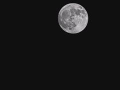 -协成海鲜火锅(情侣路店)