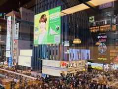 -蟹道乐(道顿堀本店)