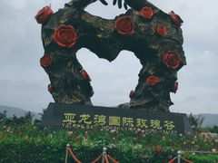 -亚龙湾国际玫瑰谷